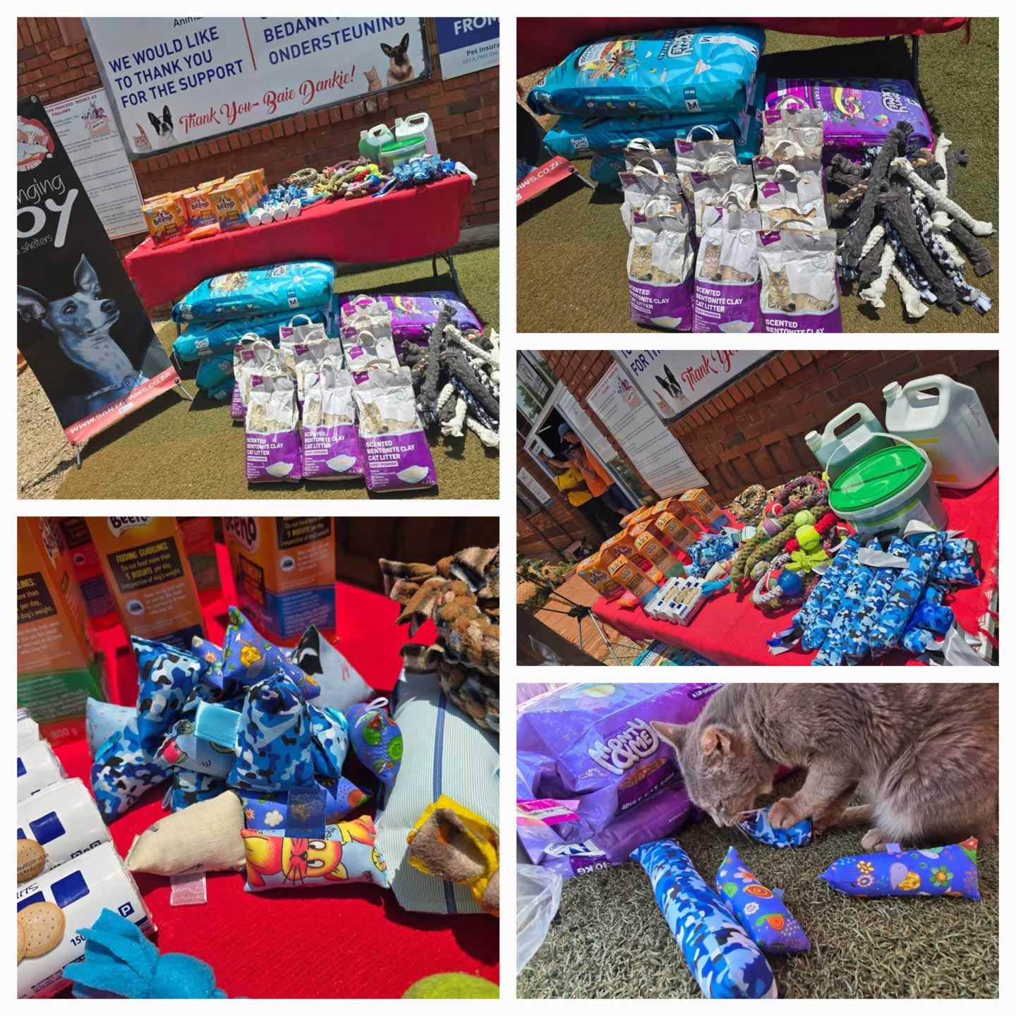 Wollies Animal Shelter
